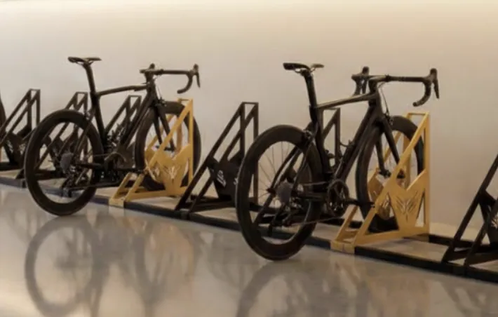 Custom-finish Velohawk bike racks in a lit bicycle parking lobby